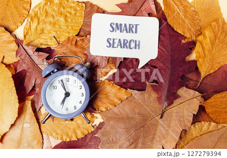 Clock is on a pile of leaves with the words smart search written above it 127279394