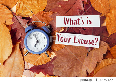 Clock is on a pile of leaves with a sign that says What's is your excuse 127279427