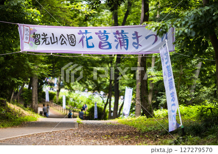 埼玉県狭山市智光山公園　花菖蒲まつり横断幕 127279570