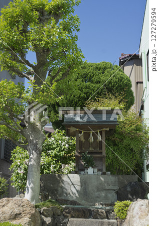 八ツ白社とウツギの花 127279594