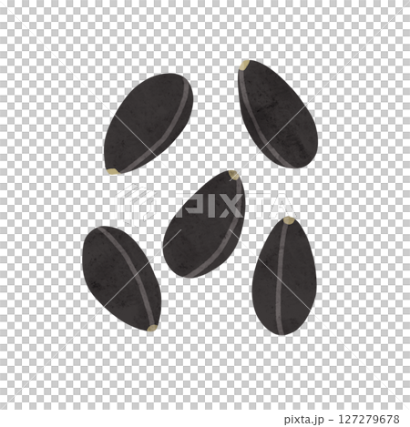 黑芝麻水彩手繪插畫 127279678