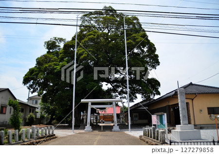埼玉県日高市上鹿山の高麗川神社 127279858