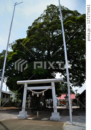 埼玉県日高市上鹿山の高麗川神社 127279861
