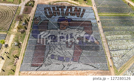 【花の駅せら_世羅ゆり園_花絵〔大谷選手〕】ドローン空撮_SERAHANAME_No04 127280126