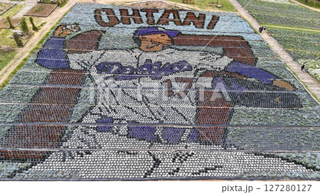 【花の駅せら_世羅ゆり園_花絵〔大谷選手〕】ドローン空撮_SERAHANAME_No05 【花の駅せら_世羅ゆり園_花絵〔大谷選手〕】ドローン空撮_SERAHANAME_No05 127280127