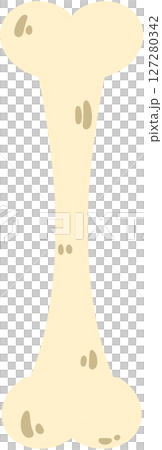 bone bone 127280342