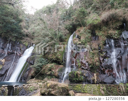 冬の白水の滝　 大分県竹田市荻町陽目 127280356