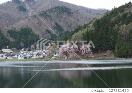 信州中綱湖の春の景色 127281420