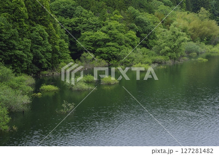 緑に囲まれた草木湖 緑に囲まれた草木湖 127281482