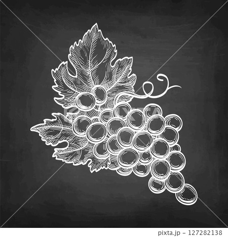 Bunch of grapes chalk sketch. Bunch of grapes chalk sketch. 127282138