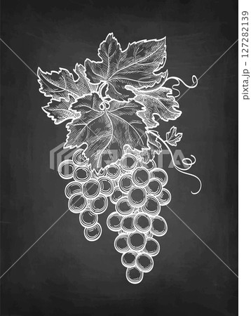 Bunch of grapes chalk sketch. 127282139