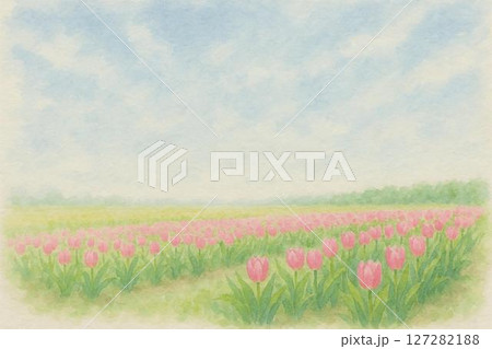 チューリップ畑 127282188