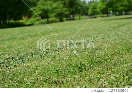 除草作業が終わった直後の草場 127283063