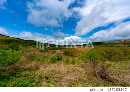 長野県 八島ヶ原湿原の風景 127283167