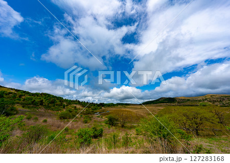 長野県 八島ヶ原湿原の風景 長野県 八島ヶ原湿原の風景 127283168