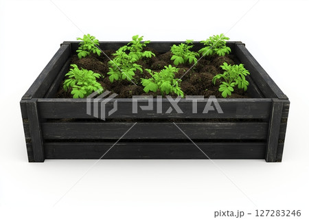 Eco-Friendly Organic Composting Kit for Home Use with Sustainable Wooden Bin and Fresh Plants Eco-Friendly Organic Composting Kit for Home Use with Sustainable Wooden Bin and Fresh Plants 127283246