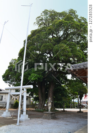 埼玉県日高市上鹿山の高麗川神社 127283328
