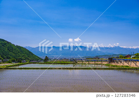田植え頃の田園風景と北アルプス　 127283346