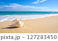 青い海と砂浜の白い貝殻 127283450
