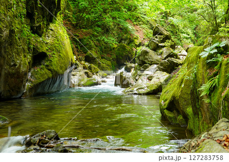 新緑の季節の西沢渓谷　カエル岩 127283758