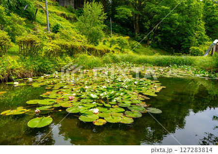 長野県 寝覚の床の風景 長野県 寝覚の床の風景 127283814