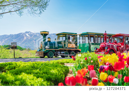 ひるがの高原 牧歌の里〈岐阜県郡上市〉 127284371