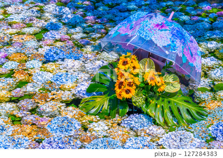 あじさいの池　あじさいまつり　開成町あじさいの里　神奈川県　開成町 127284383