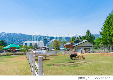ひるがの高原 牧歌の里〈岐阜県郡上市〉 ひるがの高原 牧歌の里〈岐阜県郡上市〉 127284427