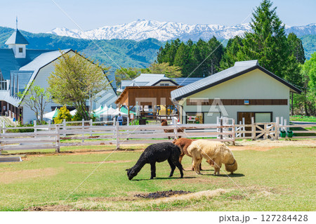 ひるがの高原 牧歌の里〈岐阜県郡上市〉 127284428