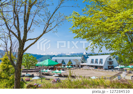 ひるがの高原 牧歌の里〈岐阜県郡上市〉 ひるがの高原 牧歌の里〈岐阜県郡上市〉 127284510