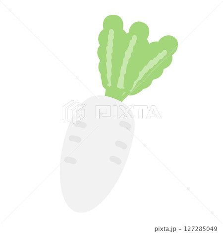 大根　イラスト 127285049