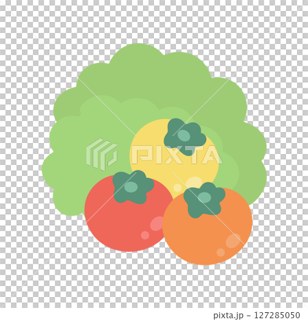 Cherry tomato, cherry tomato, lettuce illustration Cherry tomato, cherry tomato, lettuce illustration 127285050