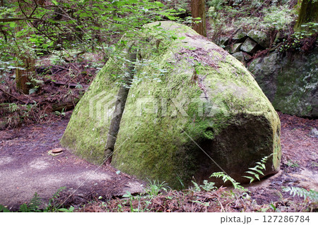 栃木県　名草巨石群　弁慶の割石 127286784