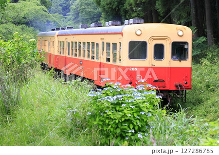 初夏の小湊鉄道 127286785