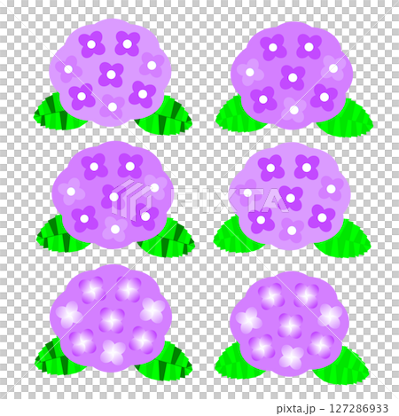 A set of elegant and mature flowers with calm purple hydrangeas 127286933