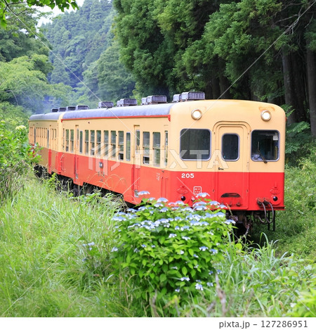 初夏の小湊鉄道 127286951