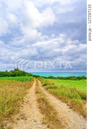 サトウキビ畑と海の絶景が楽しめる石垣島の風景 サトウキビ畑と海の絶景が楽しめる石垣島の風景 127287110