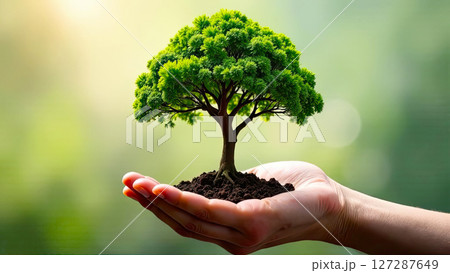 A tiny green tree in handful of earth in hand in the ground close-up. Ecology, care , bonsai. AI generated 127287649