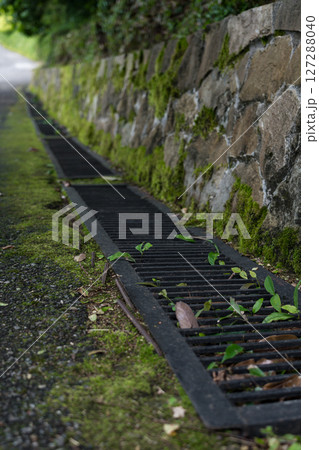The drain is overgrown with moss. diagonals 127288040