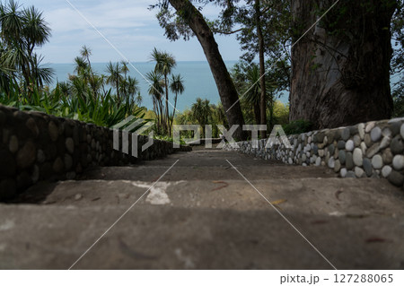 Steps down in the Botanical Garden of Georgia. View of the Black Sea 127288065