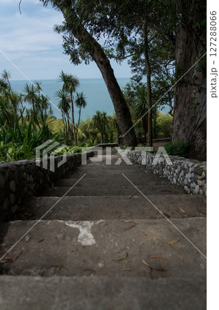 Steps down in the Botanical Garden of Georgia View of the Black Sea 127288066