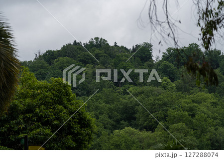 View of the botanical garden in Georgia, from a height 127288074