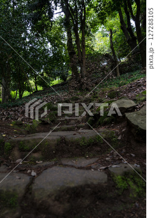 old stone steps up in the forest covered with moss 127288105