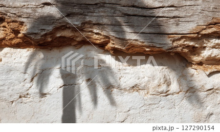 Palm Tree Shadow on Weathered Wood and Stone Wall 127290154