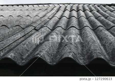 Old and covered with lichens wavy roof slates covers the barn Old and covered with lichens wavy roof slates covers the barn 127290613