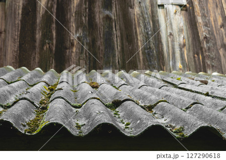 Old and covered with moss wavy roof slates covers the barn 127290618