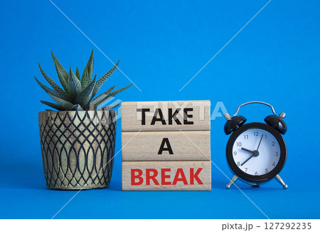 Take a break symbol. Concept words Take a break on wooden blocks. Beautiful blue background with succulent plant and alarm clock. Business and Take a break concept. Copy space. 127292235