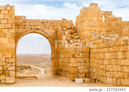 View of the ruins of Avdat, in the Negev Desert, Southern Israel 127292943