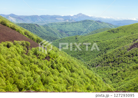 Stunning green hills of the French Pyrenees along the Camino de Santiago journey 127293095