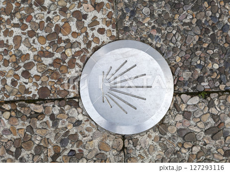 A bronze shell embedded in a textured stone pathway at a historic pilgrimage site 127293116
